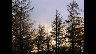 make a smile for me - bill withers (cover)