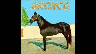 Cariño Grande - Bronco