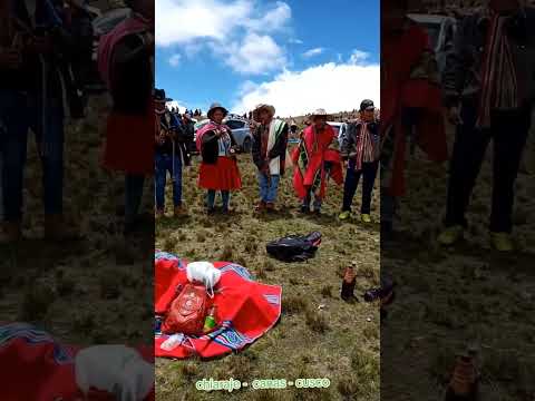 chiaraje Canas cusco Perú costumbres (LANGUI)