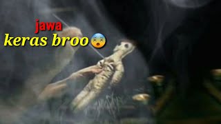 Download lagu Story wa selingkuh jawa punya tradisi mp3 Download lagu Story wa selingkuh jawa punya tradisi mp3