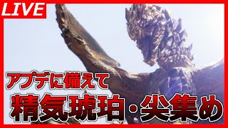 【MHRサンブレイク】アプデに備えて精気琥珀・尖集め【参加型】