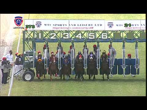 The Senor Versace Plate | Massimo | R.Bheekary