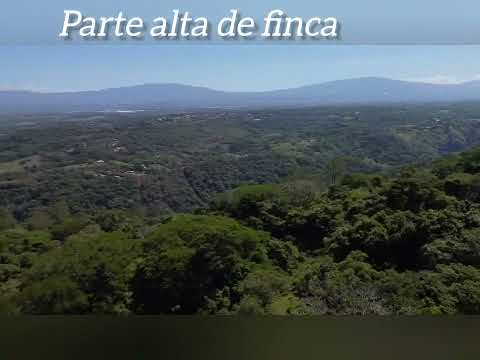 Imagen de Venta de Lotes y Terrenos en Ciudad colón - Mora Ciudad Colón - SAN JOSÉ