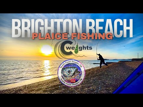 PLAICE Fishing At BRIGHTON BEACH | I caught a SPOTLESS PLAICE! - Sea Fishing UK