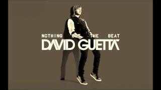 Nothing Really Matters -David Guetta Feat. Will.i.am