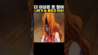 👉나미가 눈 돌아간 이유! (원피스 명장면)
