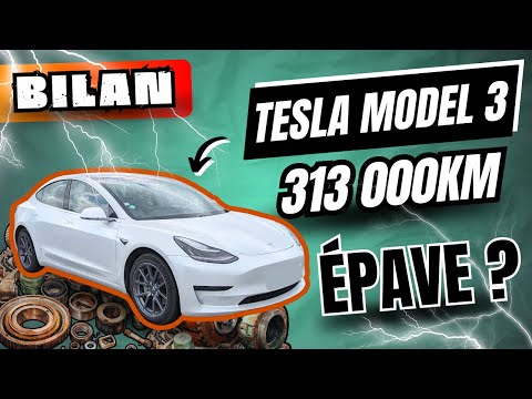 313,000 km on the odometer for this Tesla Model 3 😱 Anti-electric car people are in despair!