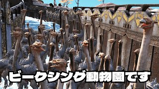 【kenshi】#4 入口にビークシングを敷き詰めた夢の拠点