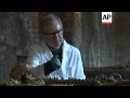 Plague Bodies Reveal Secrets Of The Old City Of London In The 14th Century EMBARGOED