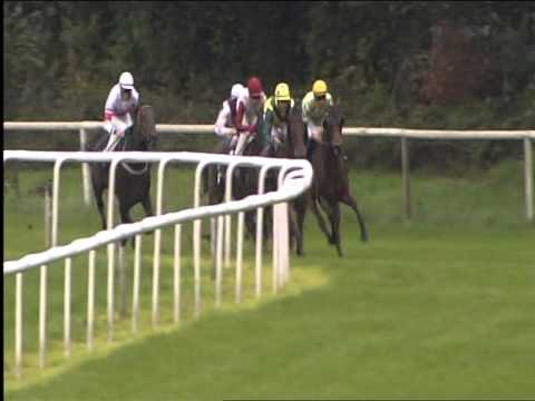 Galopprennbahn Dresden - 06.09.2015 - 3.Rennen