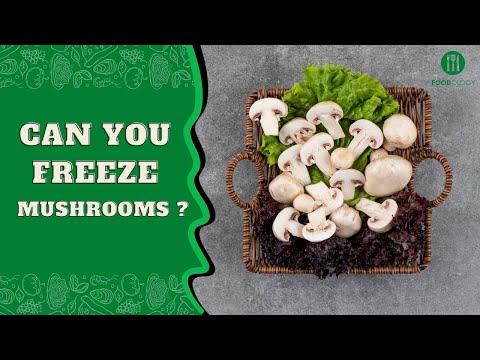 Can You Freeze Mushrooms
