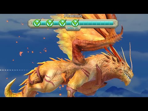 Phoenus Helion Dragon 🐉 - Hungry Dragon