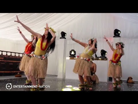 Expert Dance - Hawaiian & Polynesian