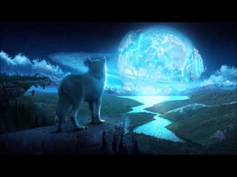 Hypnosis To Meet Your Spirit Animal Guide