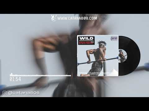 Catana808 beats - Hard Type Beat x Wild [161 BPM - Cm]