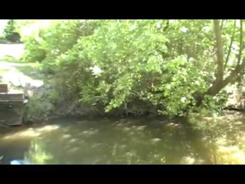 Cry Baby Hollow Bridge Video 1