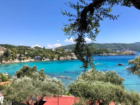 Cicadas Greece sound of nature and summer on Corfu Island GoPro HD