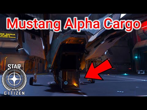 3.17.2 PTU Mustang Alpha Cargo Box - tests