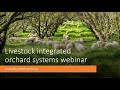 Part 2 Integration Of Livestock In Orchard Systems