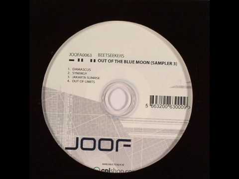 Beetseekers - Synergy