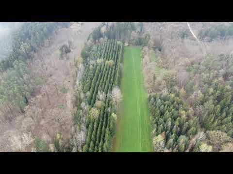 20.4.21 Flug über den Meitinger Lohwald bei Augsburg