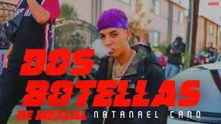 Dos Botellas de Mezcal Lyrics English Translation