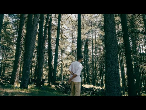 Figoshin - 7bss Tmout