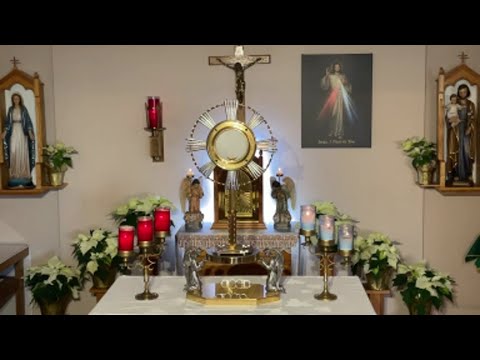 LIVE Eucharistic Adoration - Sisters of Divine Mercy