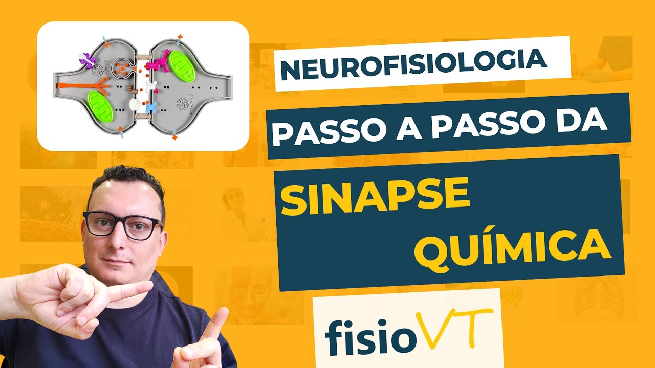 Transmissão Sináptica - #02 - Sinapse Química - Neurofisiologia