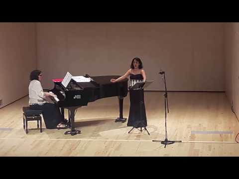 Evocació al Pirineu - R. Martínez Valls