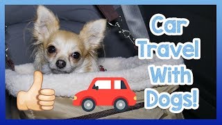 Travelling in a Car with a Dog! How to Safely and Easily Travel with a Dog in a Car!