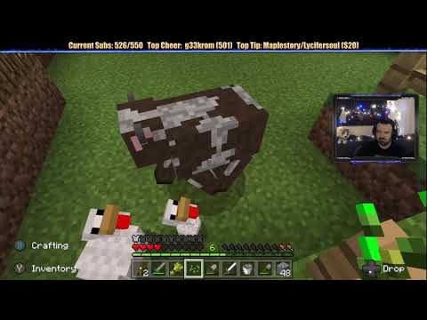Minecraft "Chill Stream" Dec. 12, 2018 pt3 - Refining the Plant and Livestock Selections