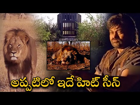 Chiranjeevi Ultimate Super Hit Lion Chasing Scene || Mrugaraju Movie Scenes || First Show Movies