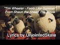 Tim Wheeler - Feels Like Summer (LYRIC VIDEO ...