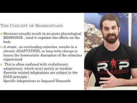 Basics of Physiology pt 2 by Dr. James Hoffmann