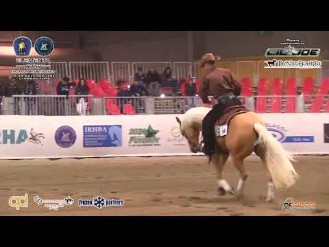 Futurity 2021 - DAVIDE BRIGHENTI & DR WHO score 220,5