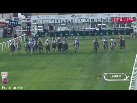 30th Race Meeting   HH The Amir Festival ITM Cup   2
