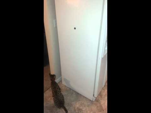 Nailah F2b loves magnets!