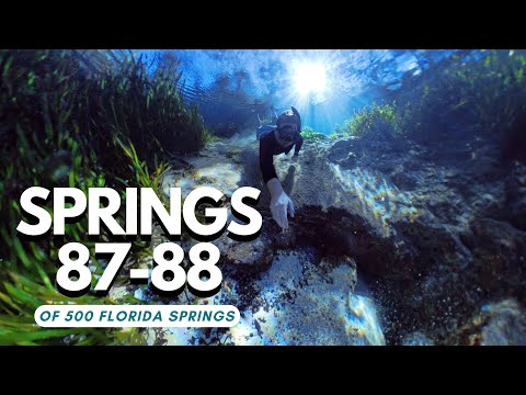 We Had This Florida Spring Completely to Ourselves