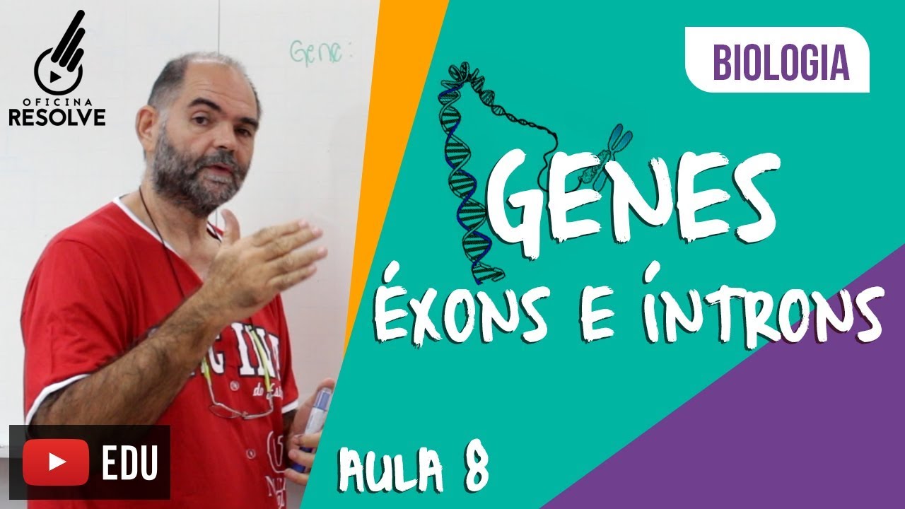 Éxons e Íntrons - Gene: Ação diferencial do gene na formação do RNA