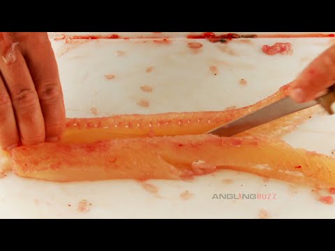 Pike Y Bone Removal Made Easy