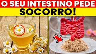A forma MAIS RÁPIDA de MELHORAR sua MICROBIOTA INTESTINAL!