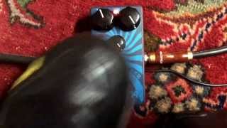 Video thumbnail for Analogman Dark Peppermint Fuzz Guitar Pedal by Clay Summers
