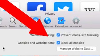 How to Enable Cookies on Mac 2021 *NEW UPDATE*
