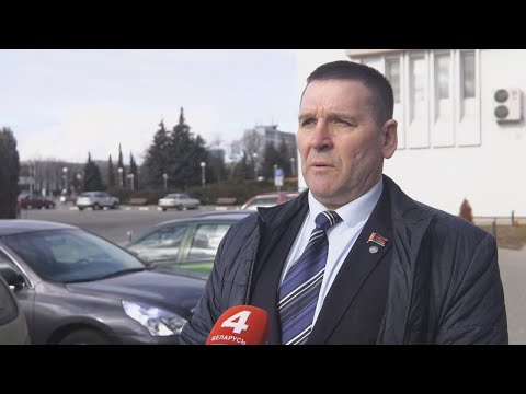 Мониторинг голосования проводили и депутаты Палаты Представителей Национального собрания видео