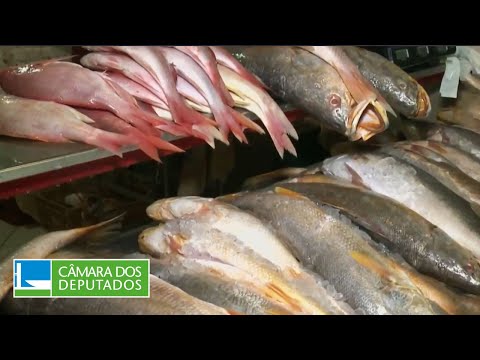 Comissão discute pesquisas e produção de pescado no Brasil - 12/12/2023