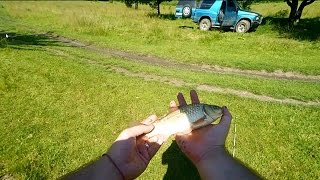 Отчеты о рыбалке на реке реня