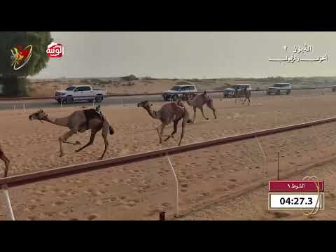  ش 9 (ملبي) لـ احمد سيف سهيل الوحيرة الدرعي 9:42 , شارة الديوان 2 2026/10/18 اللبسه حول زمول  