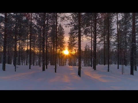 Will Cookson - Sunlight & Ashes