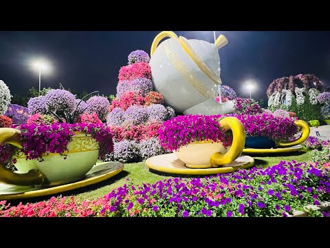 Beautiful flower garden in dubai (miracle garden)#dubai #dubaiattractions #flowers #garden